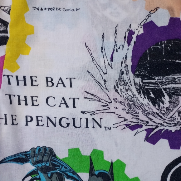 Reworked Vintage 1992 Batman Bennygonia Shorts - Picture 7 of 7